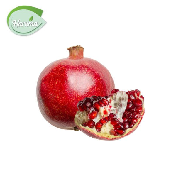 SE版IMMORTAL POMEGRANA めずらしい 